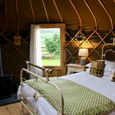 Sunbank Accommodation Llangollen Eksteriør bilde